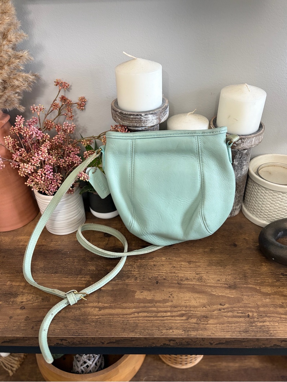 Coach vintage mint framed pouch